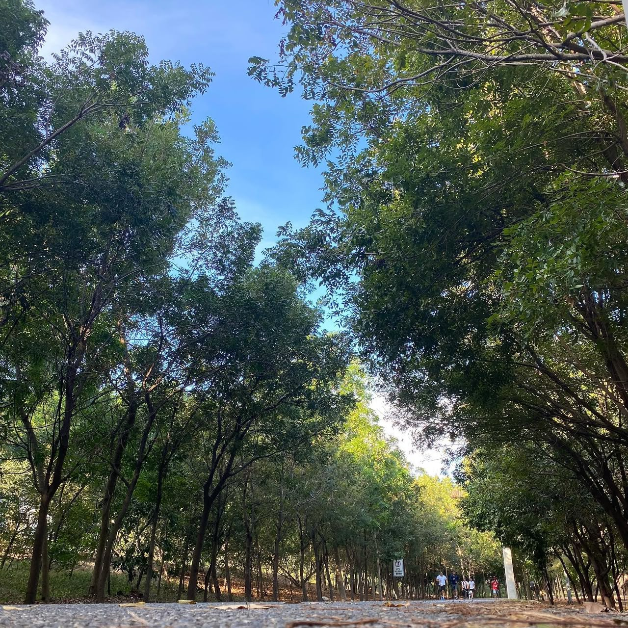 Reabren el Parque del Este y el Centro Olímpico tras concluir competencias regionales
